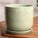 Flower python Green Poto 3 l