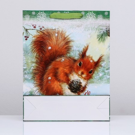 Laminated vertical "Squirrel" package, 33 x 42 x 10 cm-3