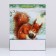 Laminated vertical "Squirrel" package, 33 x 42 x 10 cm