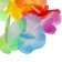 Wreath "Hawaii"