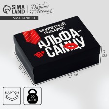 Gift folding box, packaging, Alfa-Samsu, 21 x 15 x 7 cm