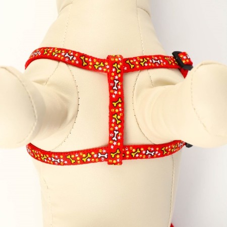 Set "Star Bones", leash 120 x 1 cm, og 23-35 cm, red-4