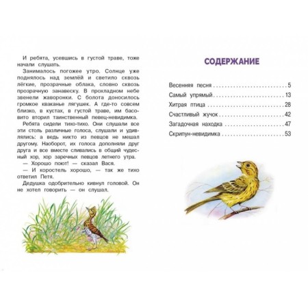 Сказки следопыта. Скребицкий Г.-4