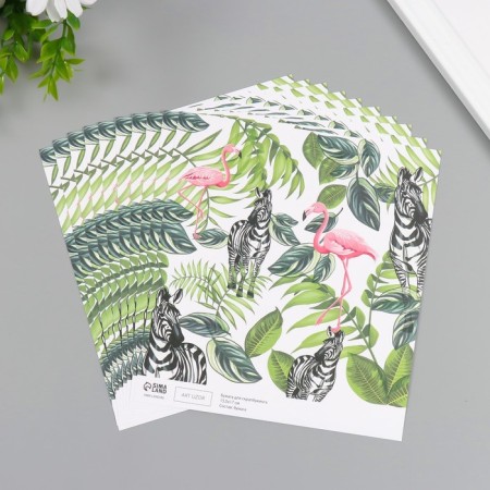 Scrapbooking paper "Flamingo and zebra" density 180 grams set 10 pcs 15.5x17 cm-1