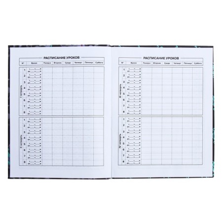 Universal Diary Grade 1-11, 48 sheets "Monster Call", integral cover, matte lamination, selective UV-fluid, congructor-6