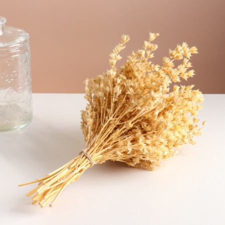 Set of dried flowers "chandra", banch length 40 (+/- 6 cm), bleached-4