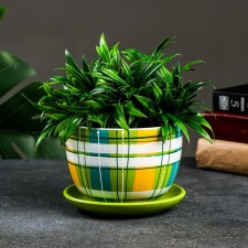 Flower pot 