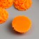 Decor for creativity plastic "Flowers and leaves" 2.7x2.7 cm