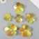 Stick Paper "Flower. Golden holography" set 6 pcs 13x12.3x0.6 cm