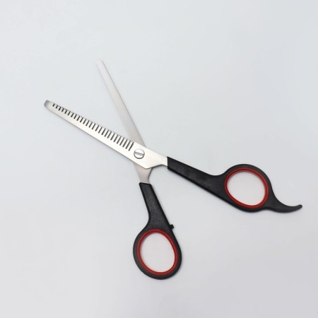 Filive scissors with emphasis, blade - 6.5 cm, color mix-4