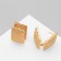Earrings Metal "Accord" Ornament, rectangle, color gold