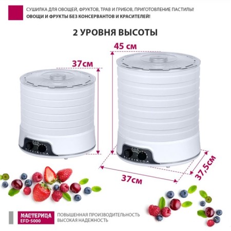Drywall for vegetables and fruits "Masters" EFD-5000, 500 W, 6 tiers, white-6