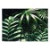 Picture on canvas "Green Ferners" 50*70 cm