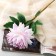 Artificial flowers "Begonia" premium, 14x60 cm, lilac-white