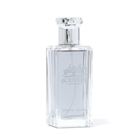 Male toilet water SCENERY, 100 ml-1