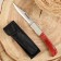 Folding Knock "Armagedon" 24.7cm, blade 107mm/1mm, handle of wood