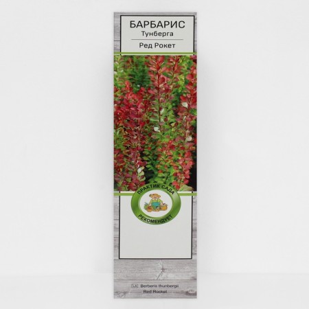 Barberis Tunberg "Red Rocket", 1 pc, tube, spring 2025