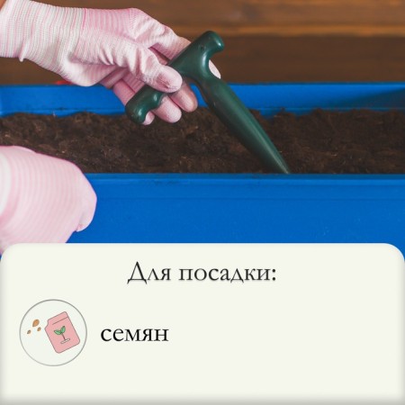 Planting cone, with markings, length 17 cm, plastic-5