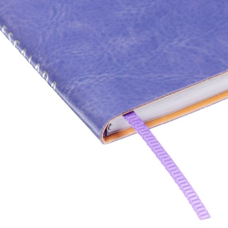 Book D/PBS LOG and Password A7+ 56 L Escalada, soft region, leather claim, TIS F, Las, BL 70g/m², sirens-2