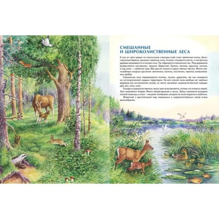 Nature of Russia. Illustrated Encyclopedia. Svechnikov V., Romanova T.-5