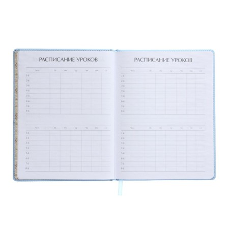 Universal diary for grades 1-11, 48 sheets, Velvet, solid cover, artificial leather, thermoting, liesse, marshmallow blue-5
