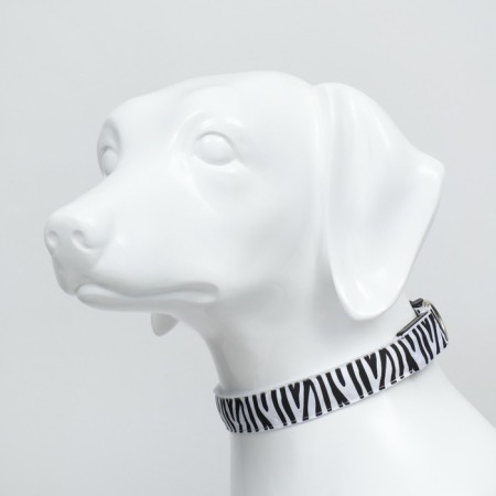 Collar with backlighting zebra 3 glow mode size XL, Osh 60-70 x 2.5 cm white-2
