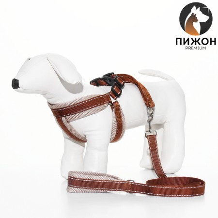 The ammunition set is soft, reflective, leash 120 x 2 cm, Osh 46-69 cm, brown