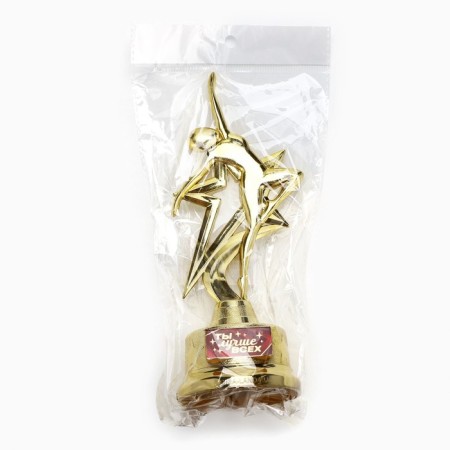 The award figure "You are the best", gold, plastic, 21.5 x 7.5 cm-5