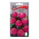 Cinnia Flowers Lilliput purple, 0.4gr