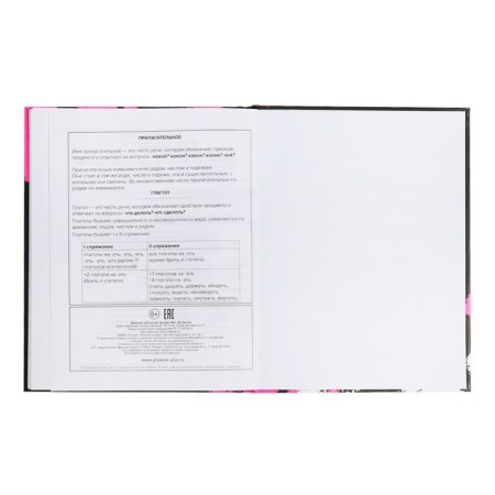 School diary for grades 1-11, 48 sheets "Rabbit Graffiti", hard cover, matte lamination, universal cheat sheet, block 65g/m2-12