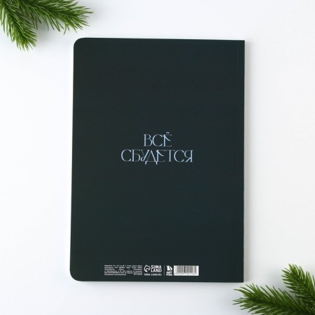 New Year. Diary Soft cover Software Tach, 24 x16.5 cm, 80 sheets "Dream"-4