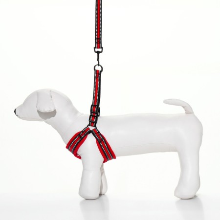 The ammunition set is soft, reflective, leash 120 x 2 cm, Osh 25-72 cm, red-1