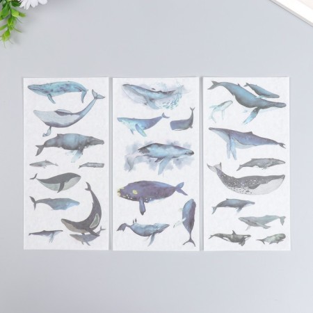 Stickers "Paring Whales" set 3 sheets 10x20 cm