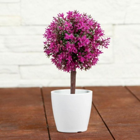 Bonsai in the pot "Color Leaflets" 18 cm, mix