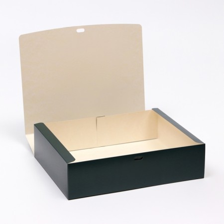Folding box "Green", 31 x 24.5 x 9 cm-1