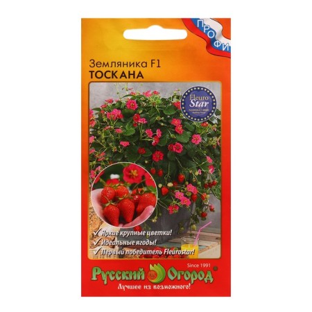 Strawberries "Tuscan", F1, 5 pcs