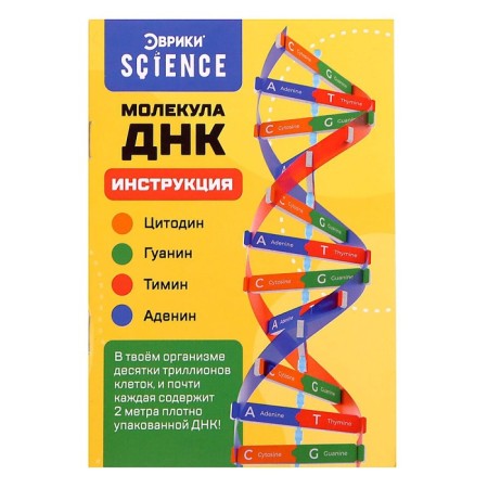 Set for experiments "DNA molecule", in the package-2