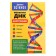 Set for experiments "DNA molecule", in the package