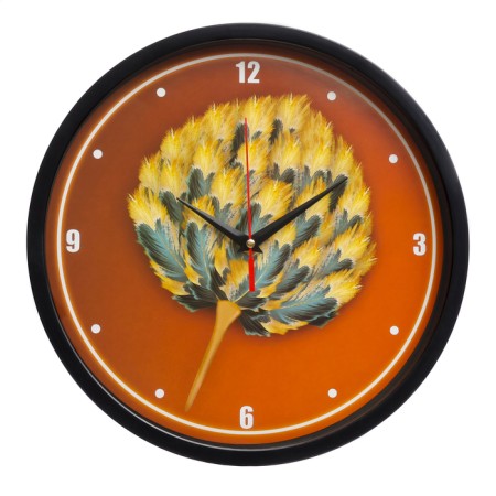 Watch wall "feathers", d-30 cm, smooth move