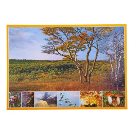 A set of posters "Seasons" with methodological recommendations, 4 posters, A3-5
