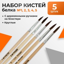 Set of protein brushes is round 5 pieces (No. 1,2,3,4,5) with wooden handles on a blister