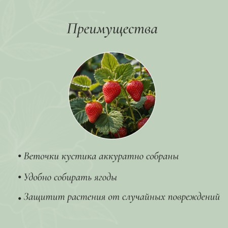 Builder for strawberries, d = 15 cm, h = 25 cm, leg d = 0.3 cm, metal, green, Greengo-4