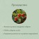 Builder for strawberries, d = 15 cm, h = 25 cm, leg d = 0.3 cm, metal, green, Greengo