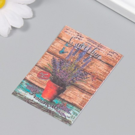 Postcard with seeds "grow itself" Love 5*7cm-1