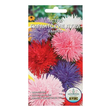Flower seeds Annual Astra giant rays mixture 0.2