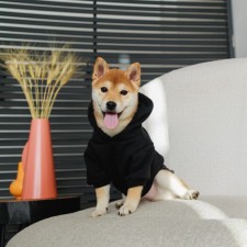 Толстовка Off-Dog для собак (футер с начесом), размер S (ДС 24, ОШ 33-37, ОГ 42-44), чёрная