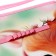Labor folder A4, 325 x 230 x 25 mm, lightning around, folding bar, plastic, PTR-1, calligrata "deer"