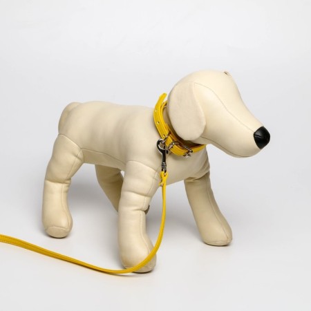 Set of collar (26-34x1.4 cm) and leash (120x1 cm) from eco-leather, yellow-6
