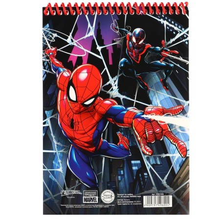 Gift set for a boy, 10 items, Spider-Man-6