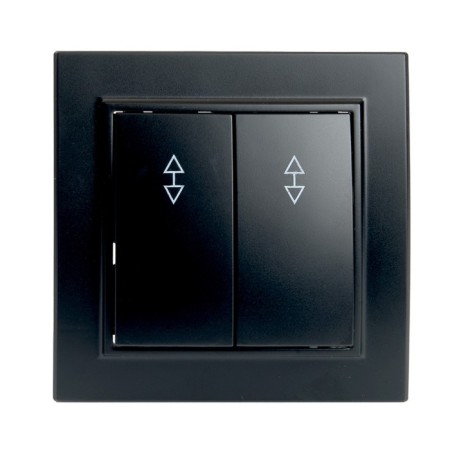 Switch (switch) electric 2-clavy, stekker series Erna, PSW10-9008-03, black 1022451